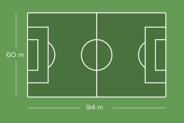 Naturrasenplatz (94m x 60m)